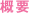 概要
